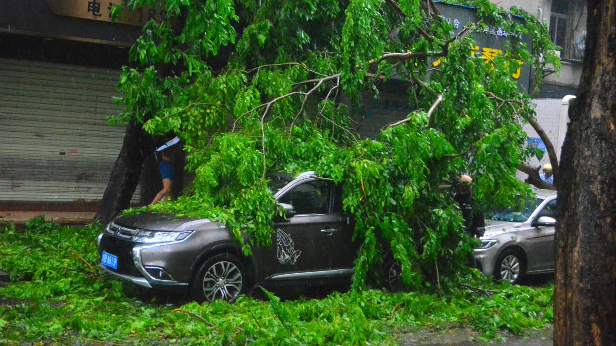 14 States on High Alert as 60 mph Winds Threaten Travel and Power