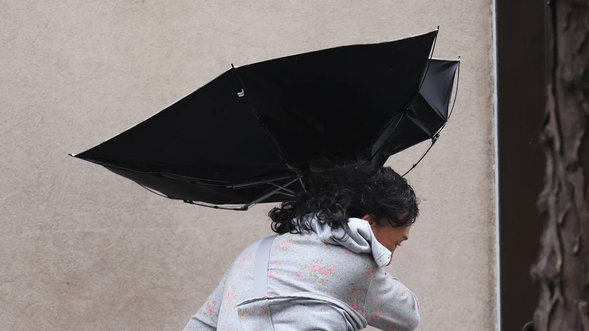 65 MPH Gusts and Tornado Threat: Florida Braces for Wild Weather Tonight