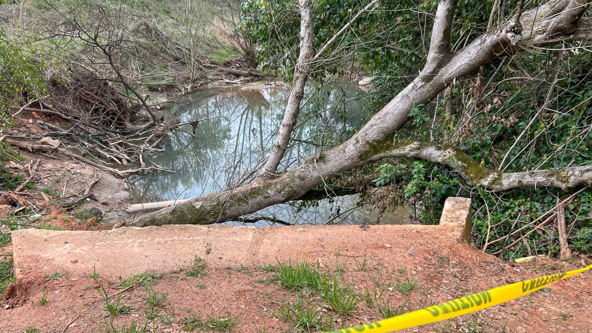 75-Year-Old Millionaire Hunter Killed in Tragic Elephant Encounter During African Safari