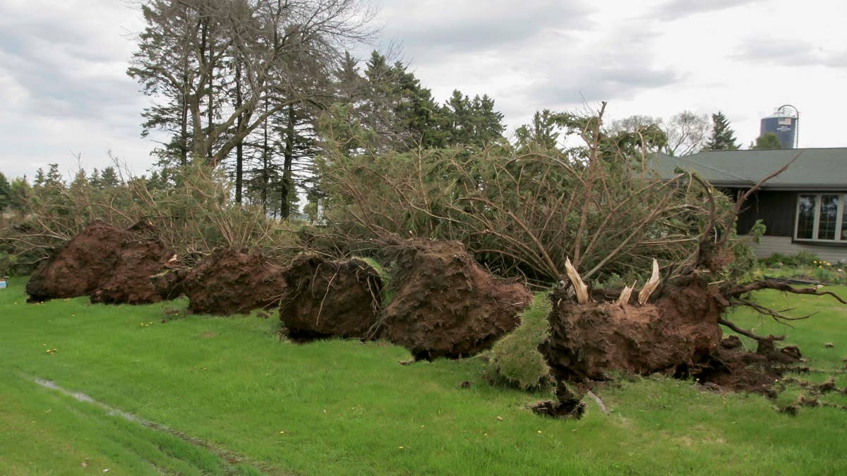 80 MPH Wind Gusts: Pennsylvania Braces for 'Destructive Storm' Saturday