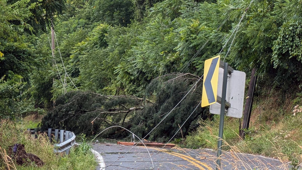 9 States on High Alert as Destructive Winds Threaten Travel and Power