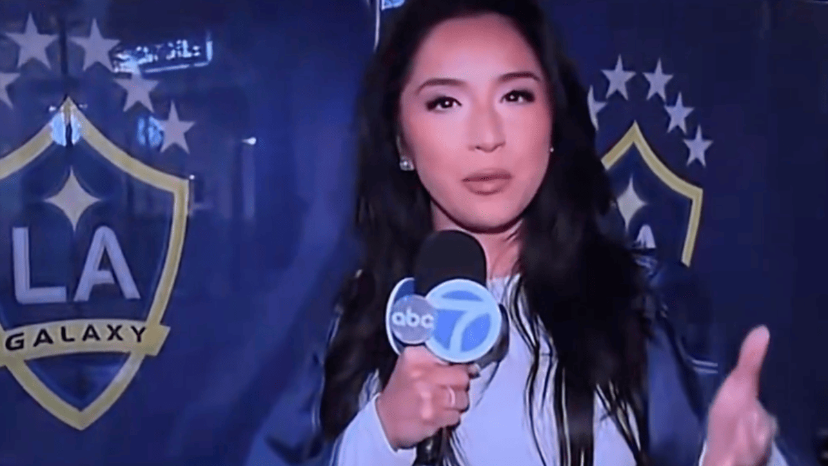 ABC 7 Reporter Apologizes After Insulting Bosnia on Air Ahead of World Cup Clash