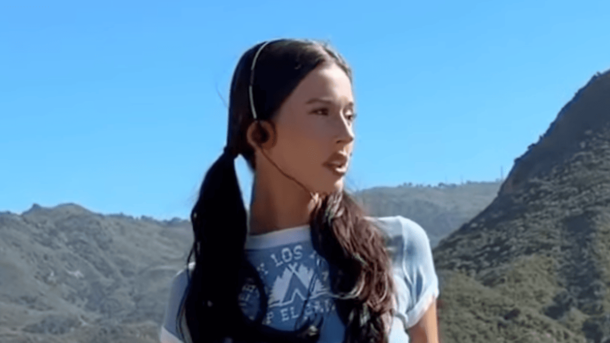 Disneyland Outfit Controversy: Model Sarah Waddles Identified