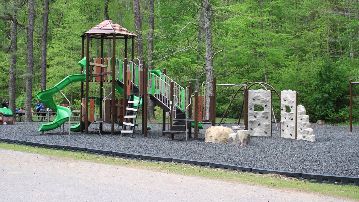 Freak Tree Collapse Kills Elementary Student on Massachusetts Playground
