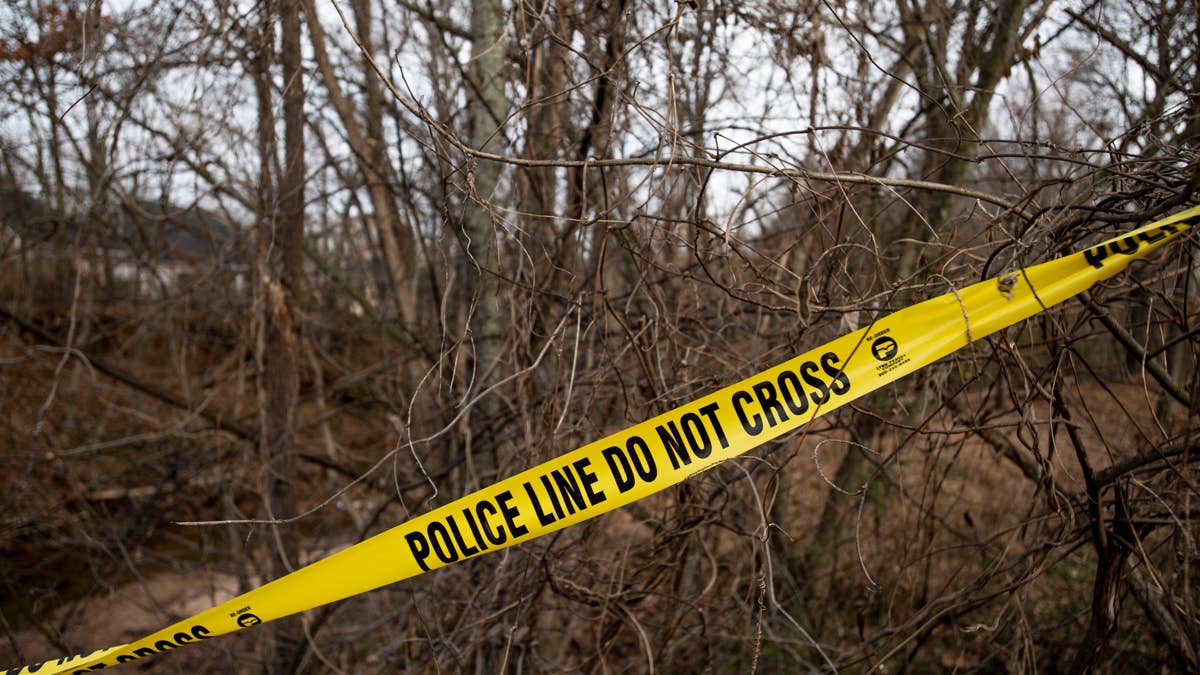 Global Hunting Tragedy Sparks Urgent Firearms Safety Alert