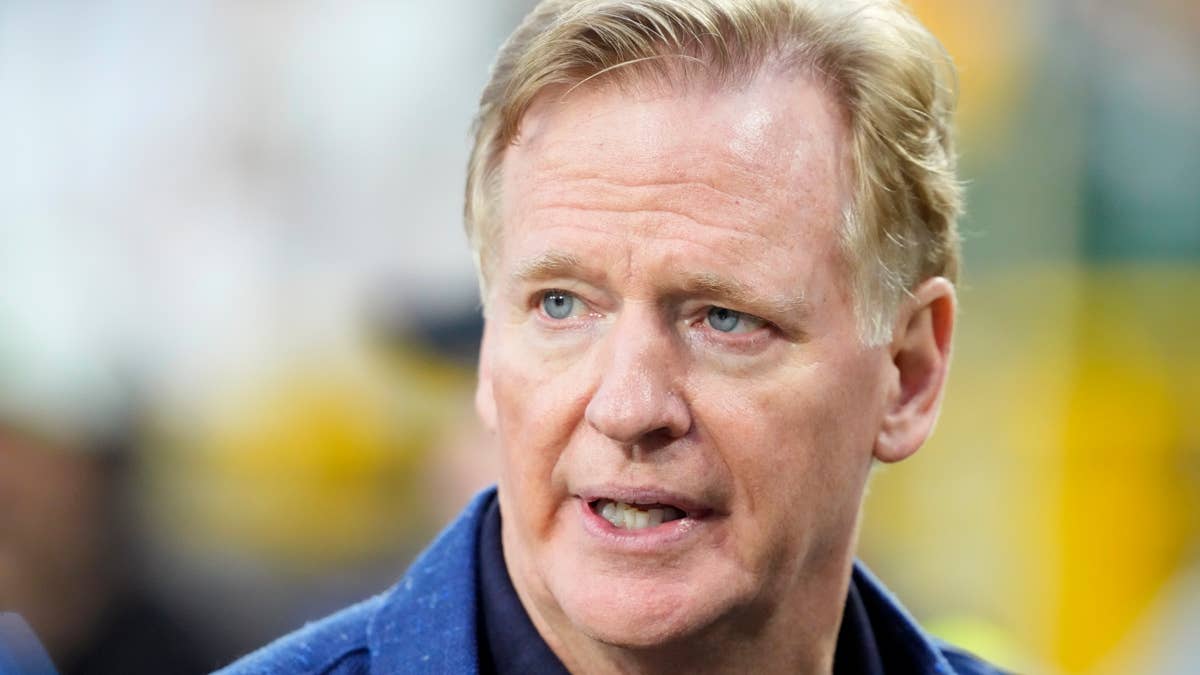 Goodell Weighs In: Bears Could Have Two Stadium Options on the Table