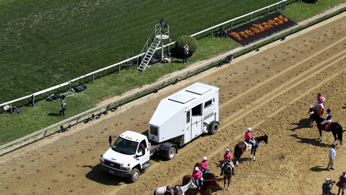 Jockey's Costly Call: 10-Day Ban for Pushing Exhausted Horse in Grand National