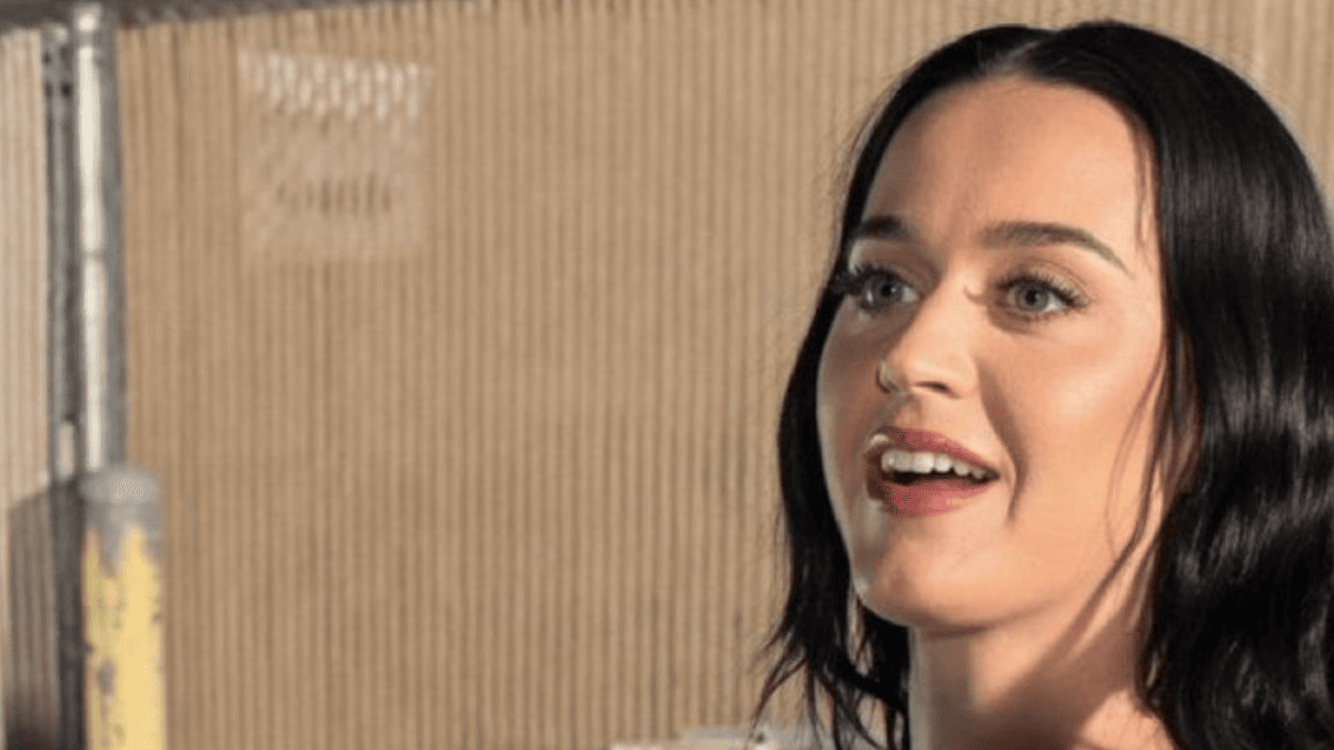 Katy Perry Stuns Fans at 41 with White Tank Top Photo: 'She’s My Idol'