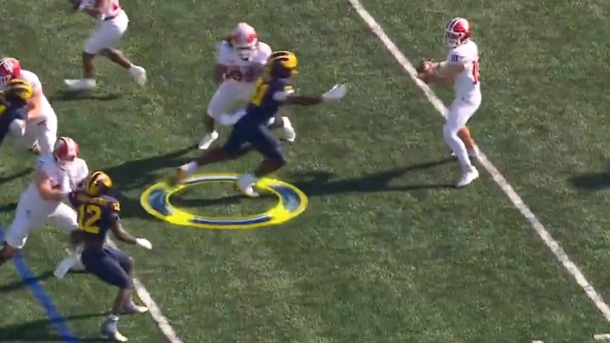 Michigan Fans Demand Refs Be Penalized After Shocking Roughing Call