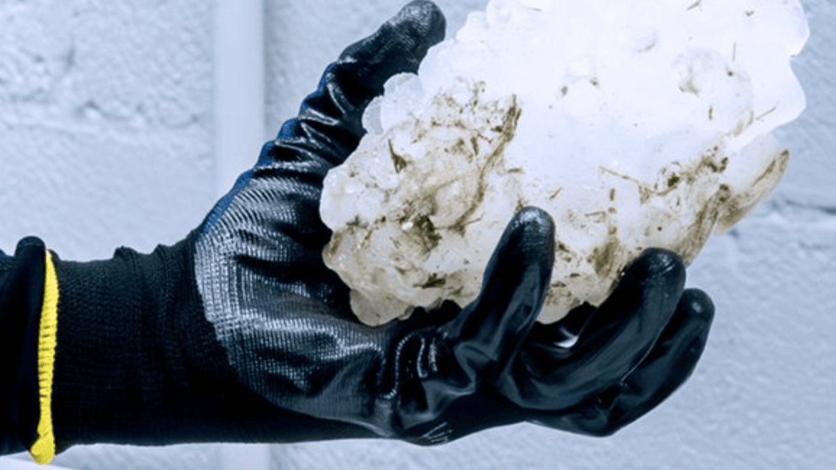 Midwest Ice Giant: Illinois Hailstone Shatters State Record