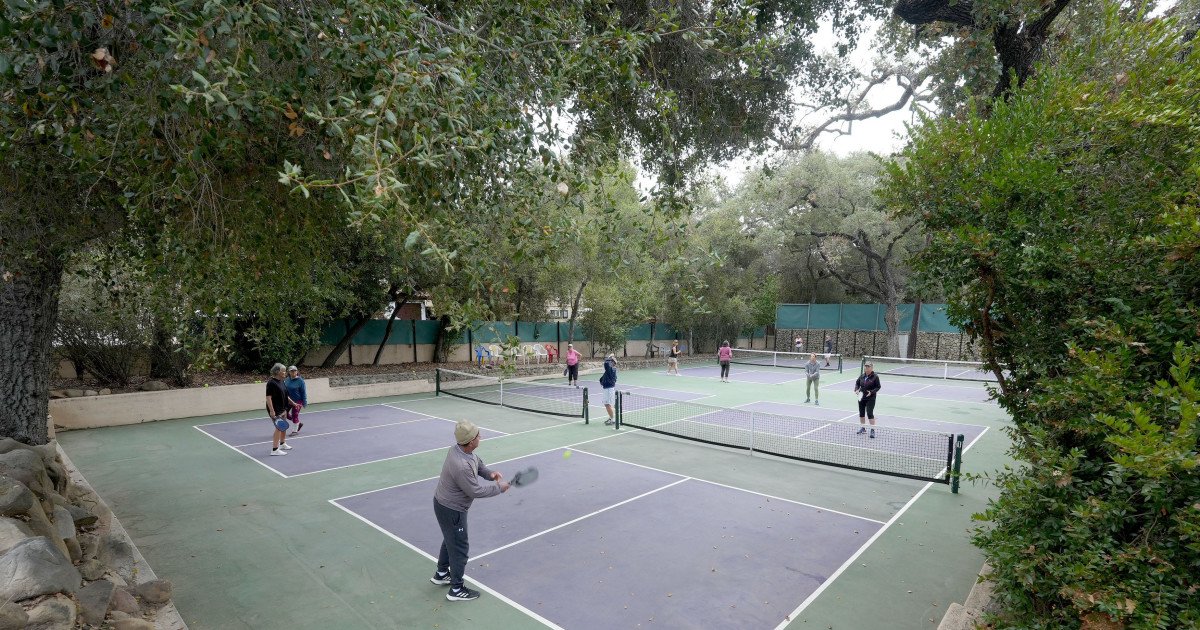 Pickleball's Deadly Risk: Safety Alert After Fatal Court Accident