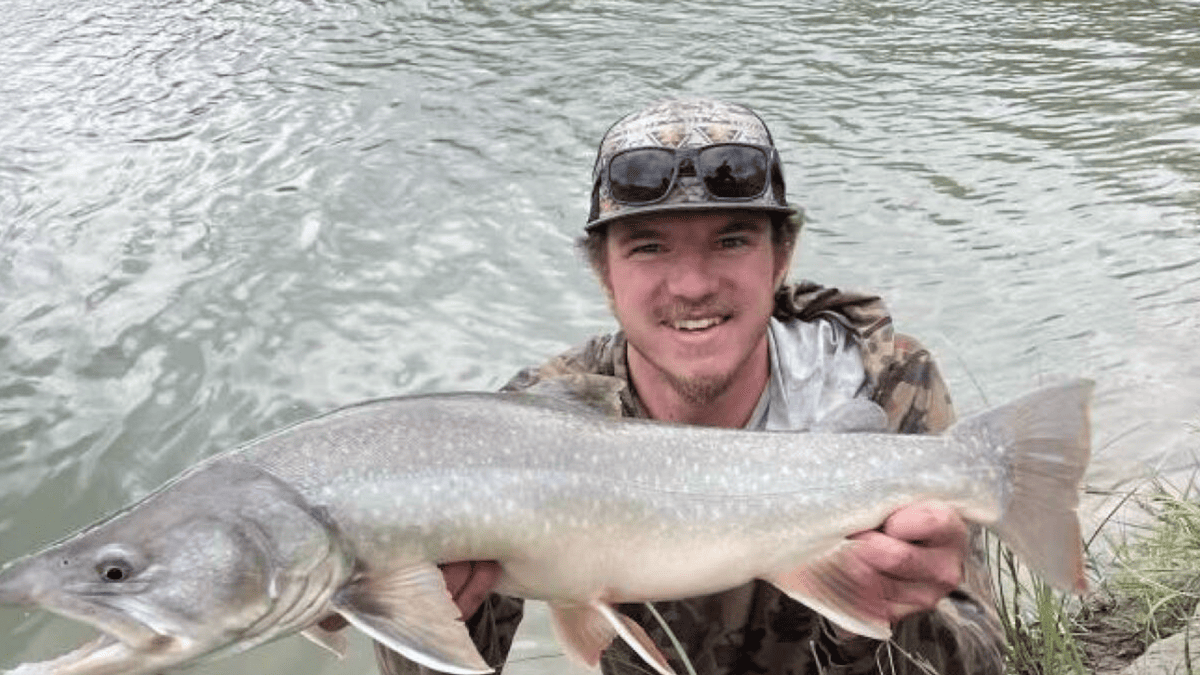 Police Urge Public to Stand Down in Desperate Search for Missing Colorado Hunter