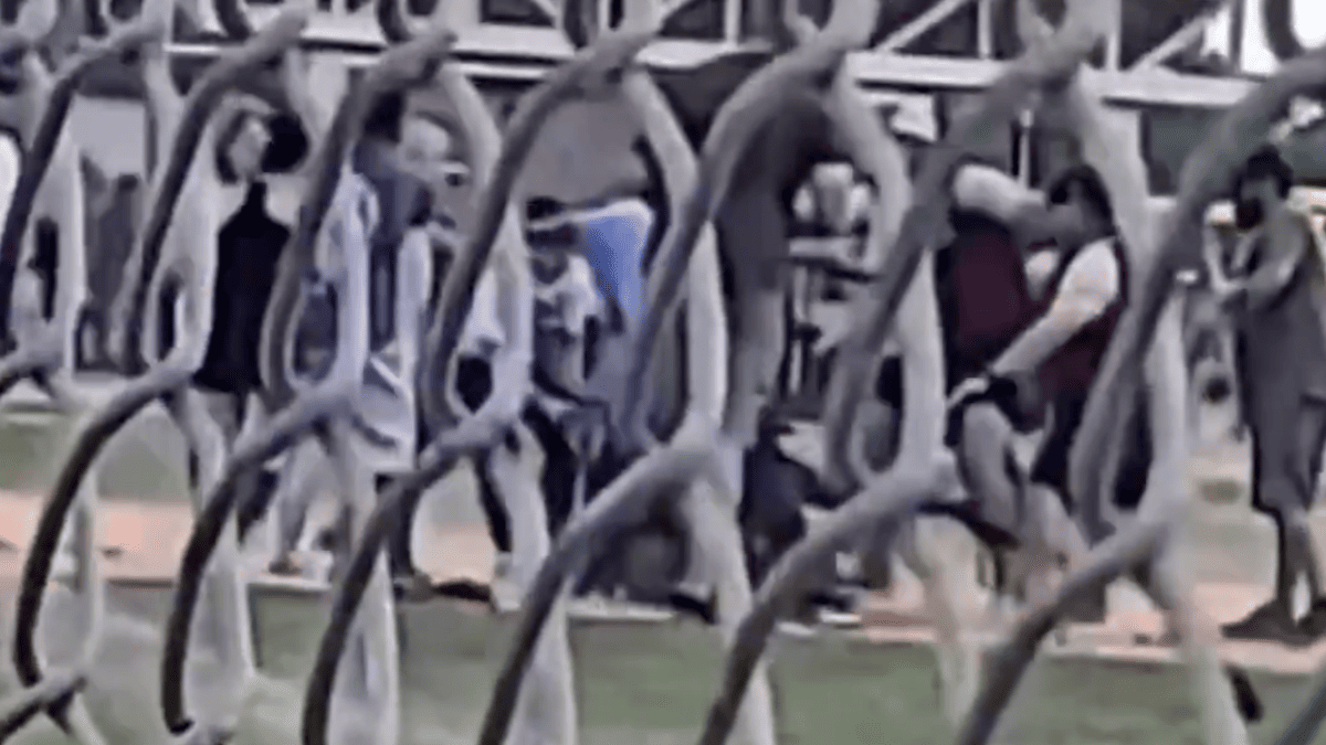 Shocking Brawl Erupts at 8U Youth Baseball Game as Parents Throw Punches in Front of Kids
