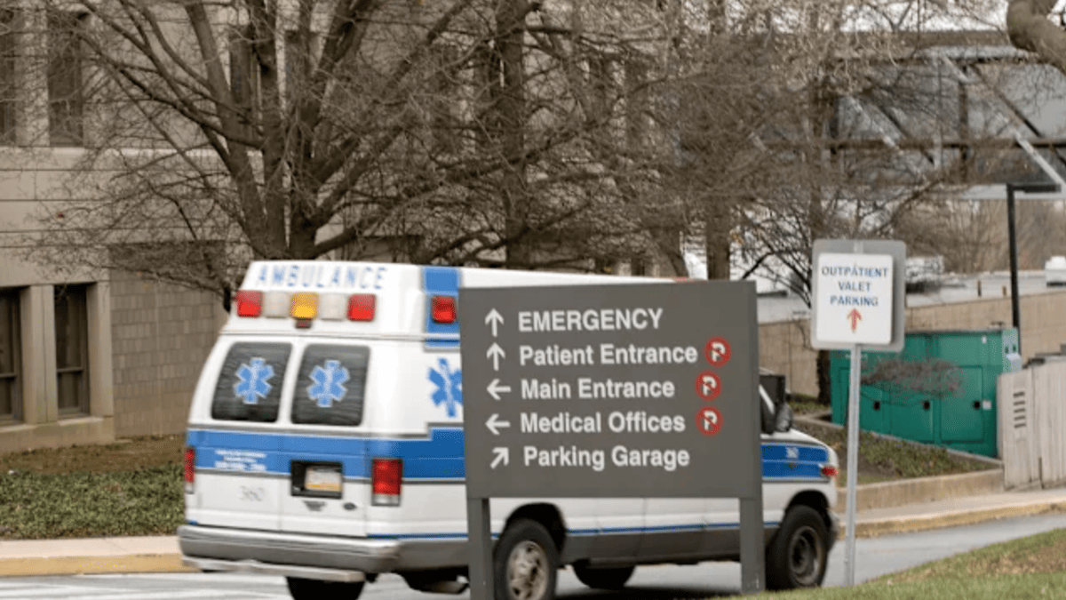 Shooter on the Loose After Multiple Wounded at Toledo Festival