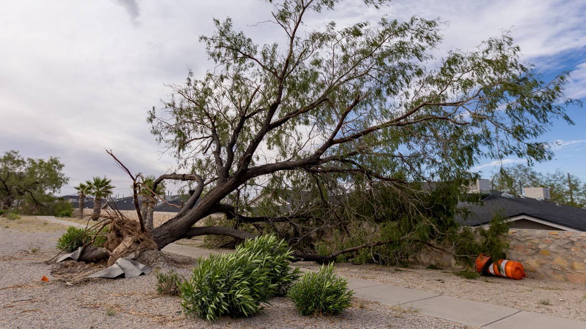 Thunderstorm Threat: 65-80 MPH Winds Target New Mexico and Texas Tonight