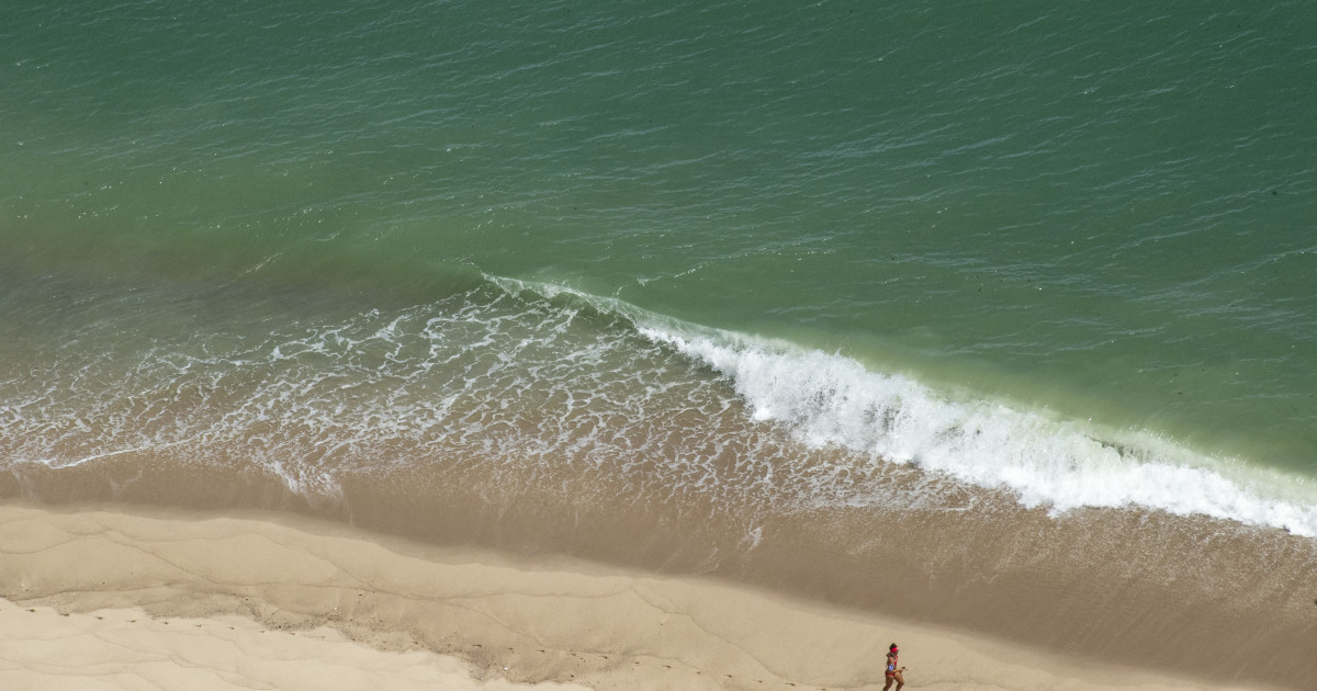 Tragic Weekend: Two Fatal Shark Attacks Prompt Safety Warnings