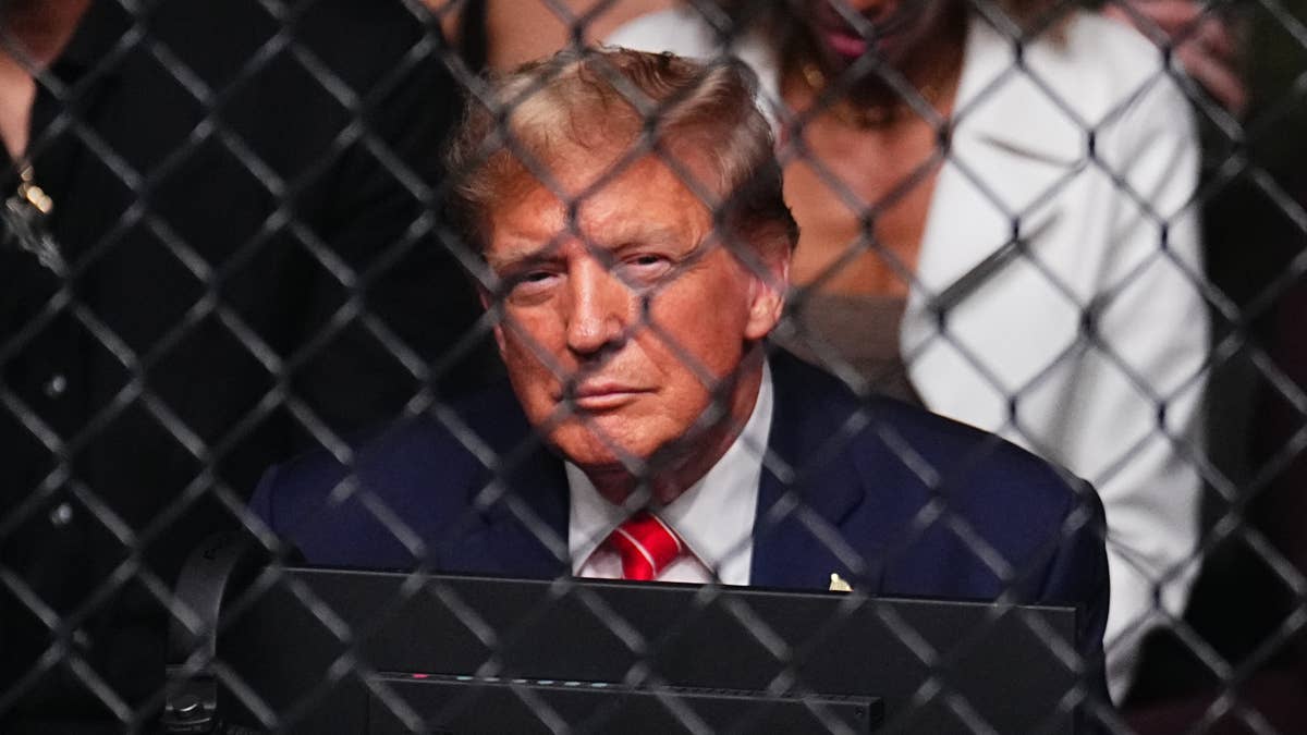 Trump Stock Purchase Raises Eyebrows Ahead of White House UFC Event