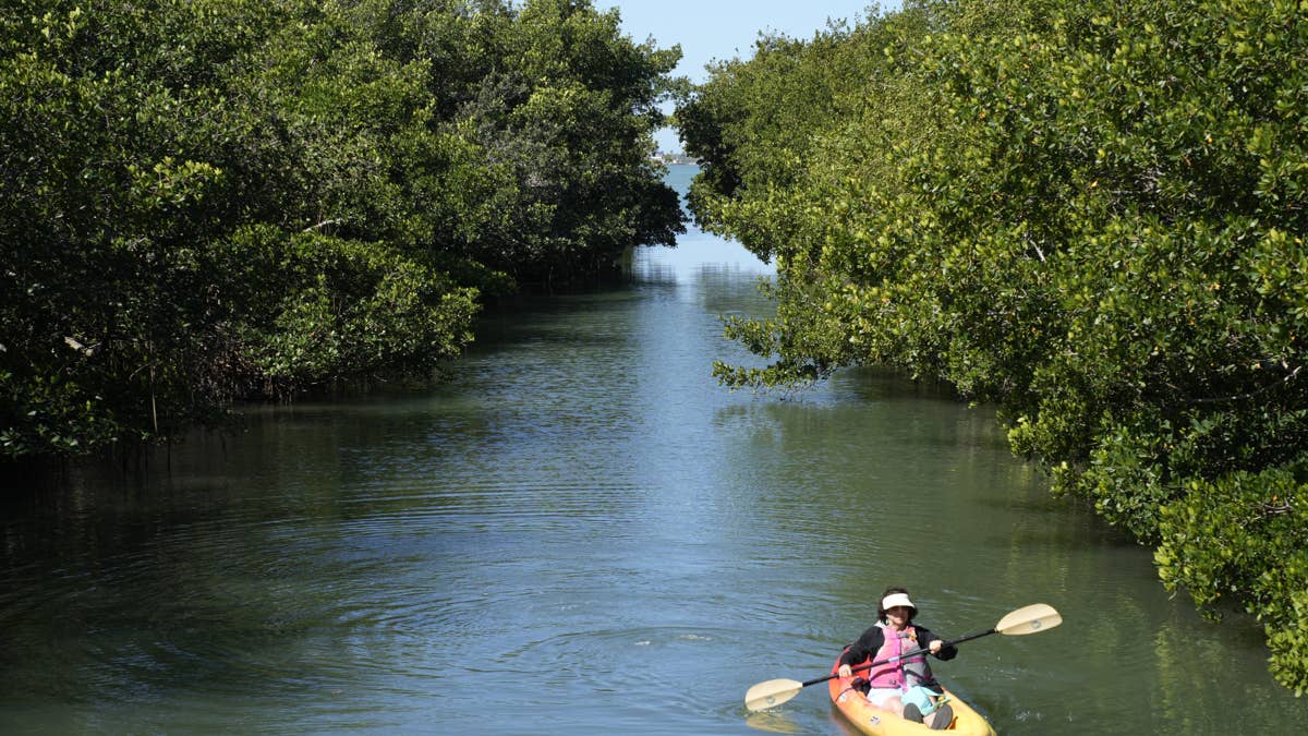 Turbulent Waters Claim Life of Veteran Kayaker in Vermont River Tragedy